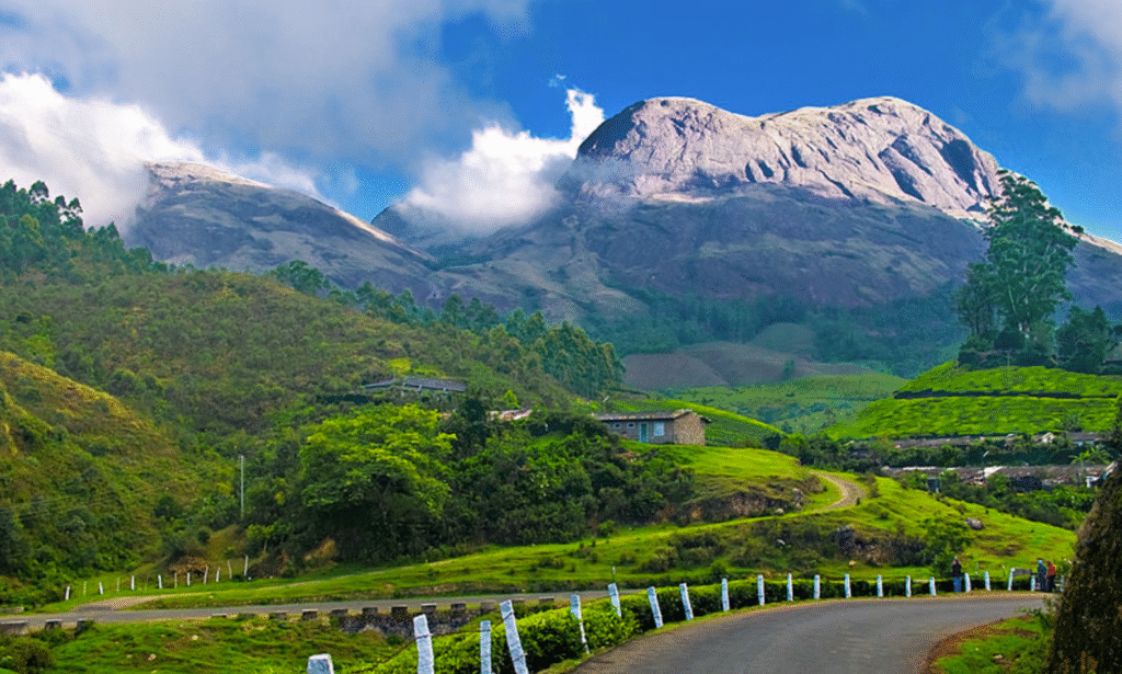 Munnar, Kerala